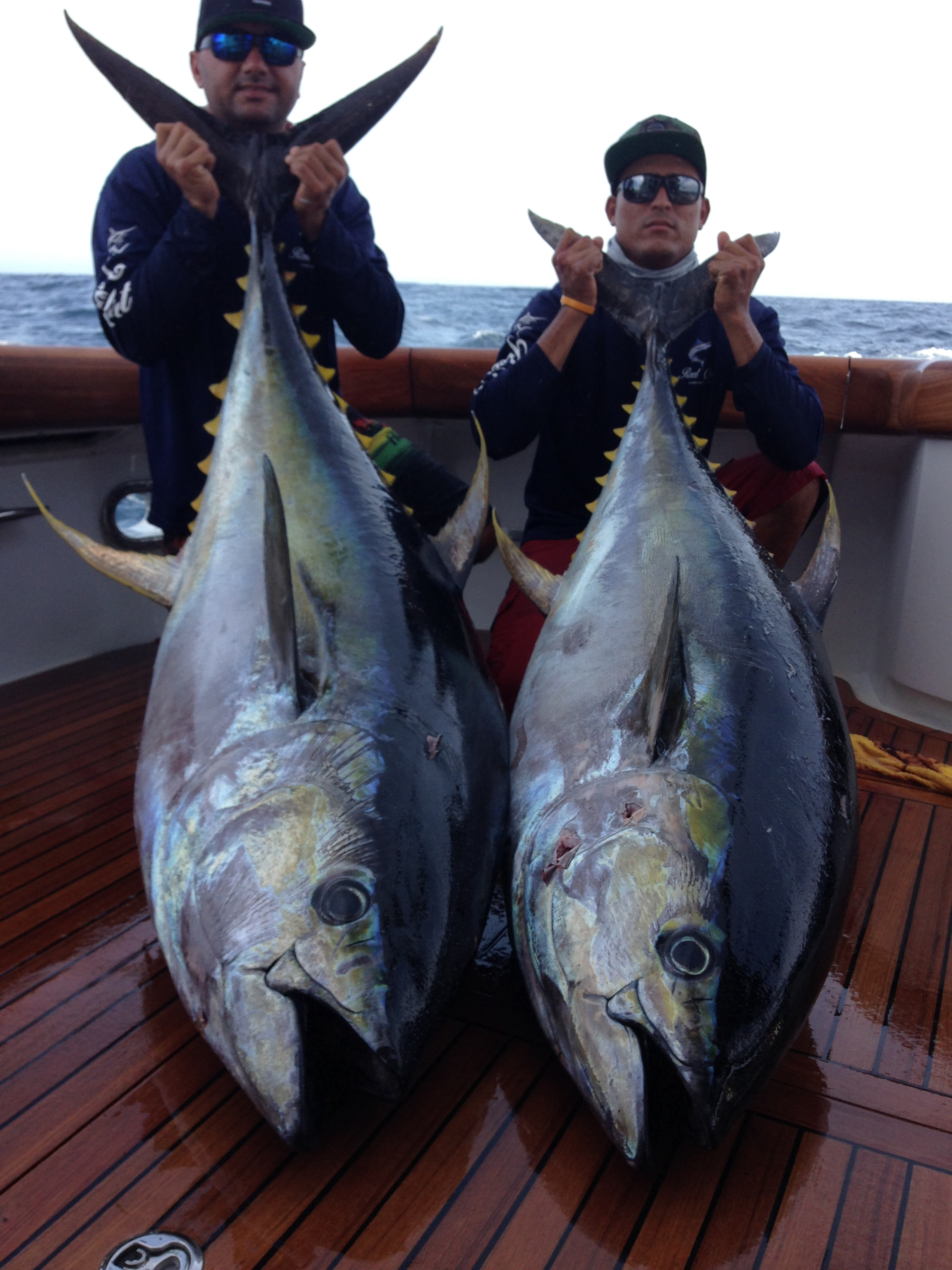 Sportfishing charter in the Sea of Cortez