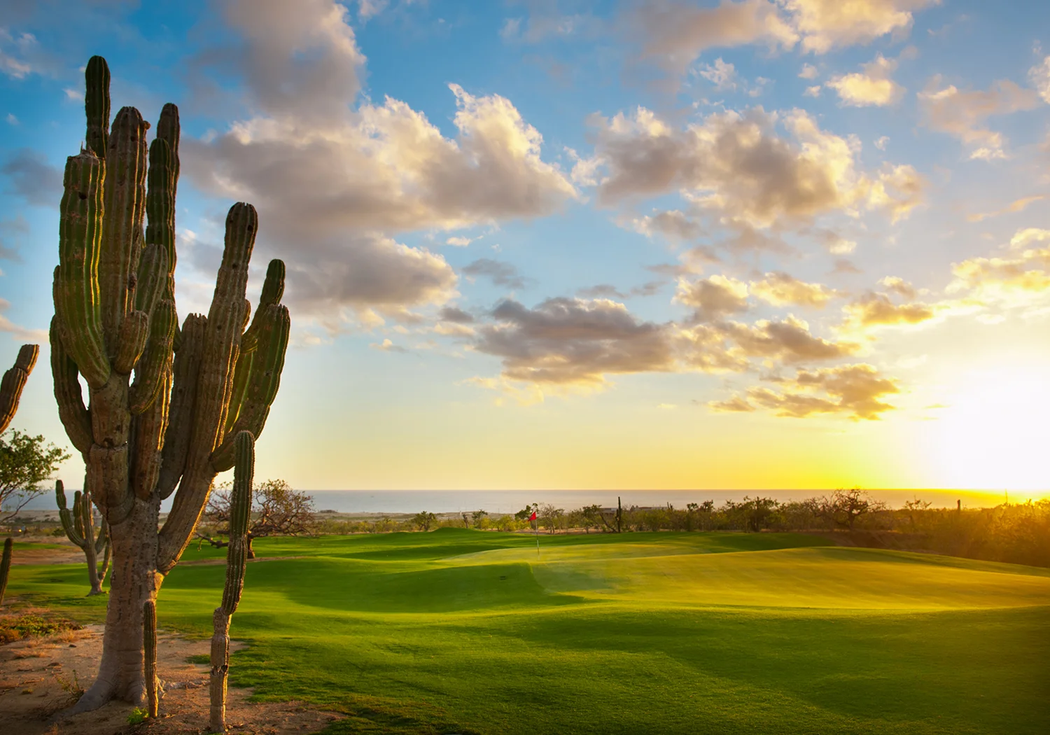 Diamante — Dunes & El Cardonal — Signature Hole