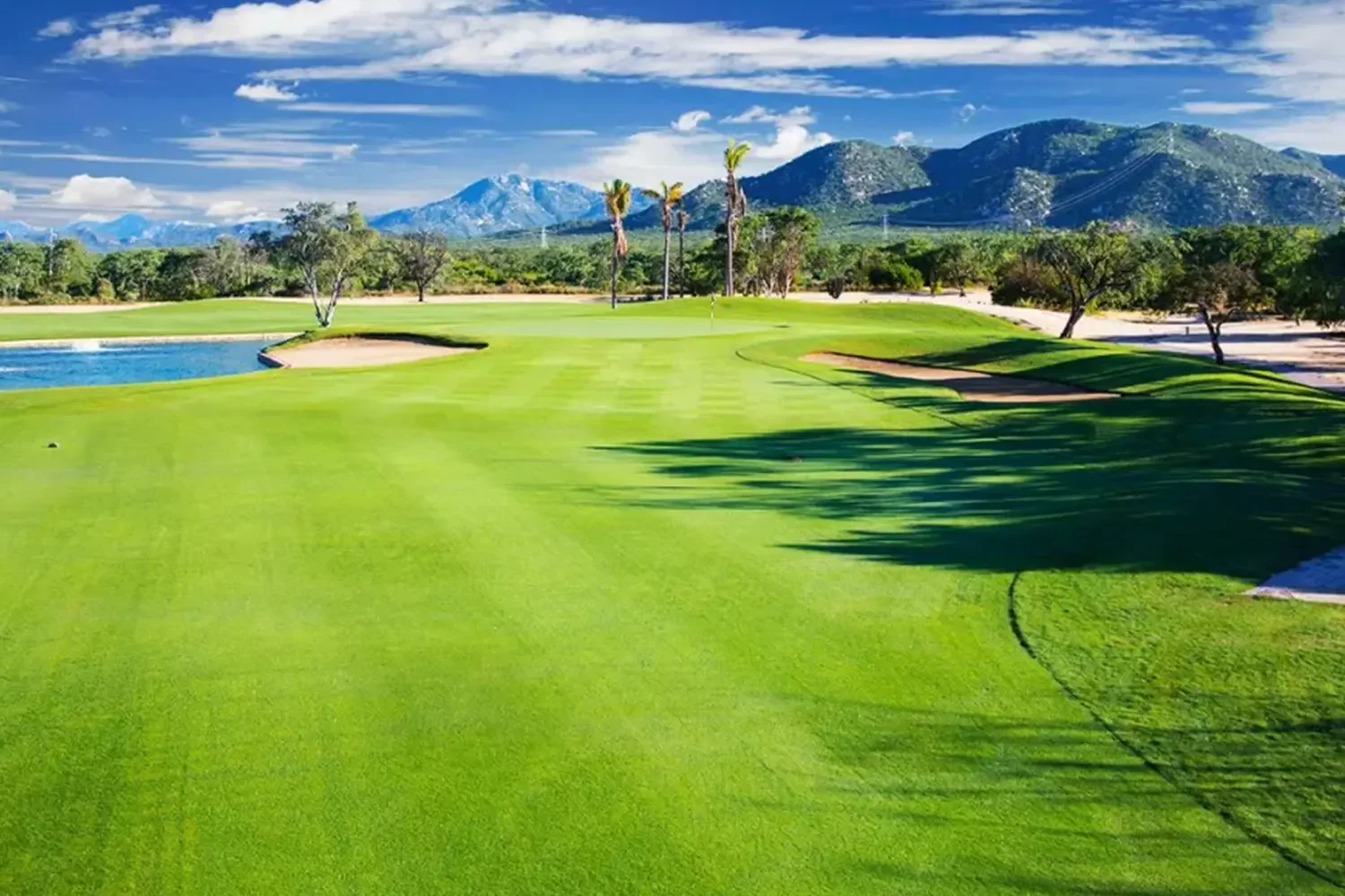 Cabo San Lucas Country Club — Approach Shot