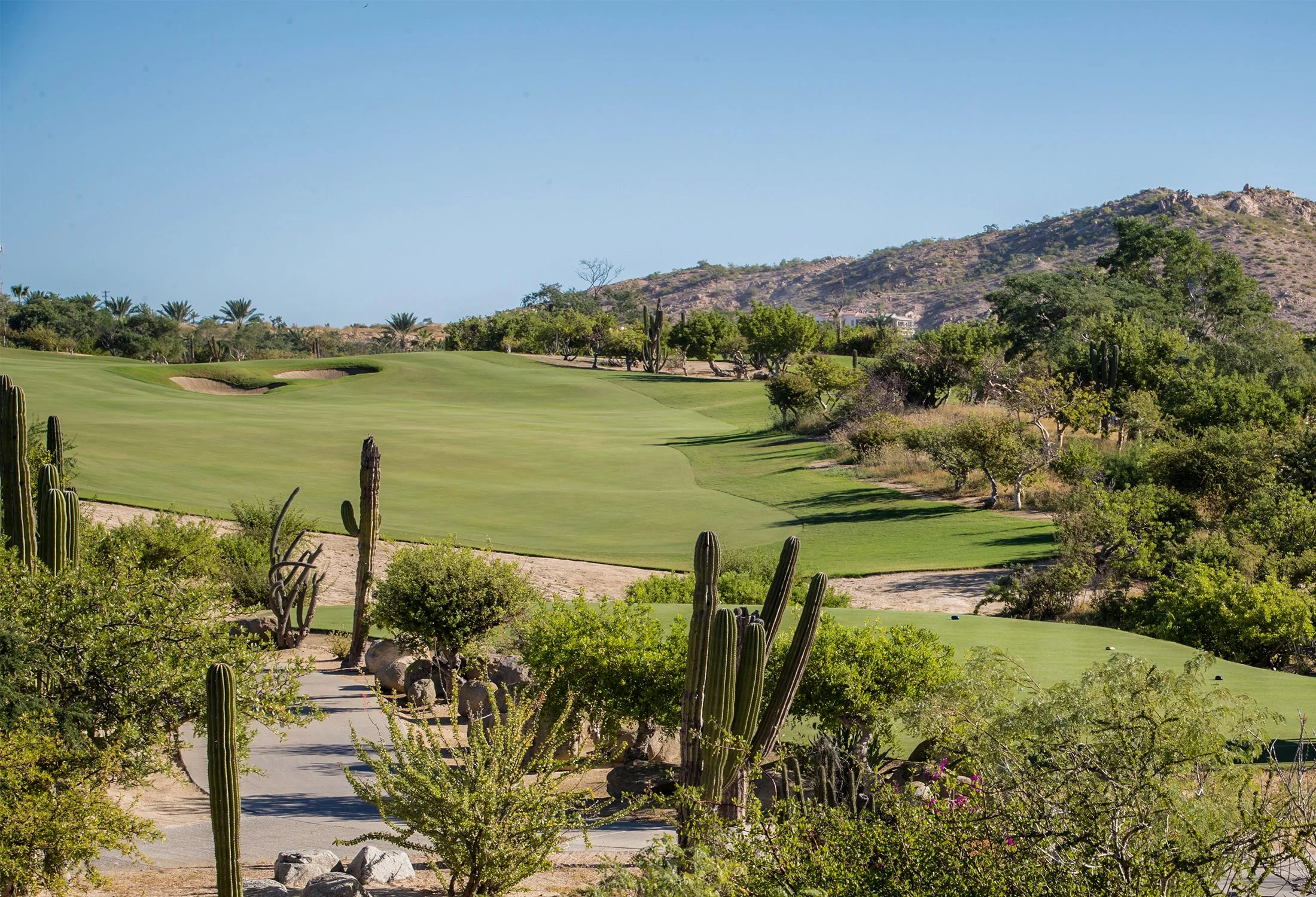 Cabo del Sol — Fairway