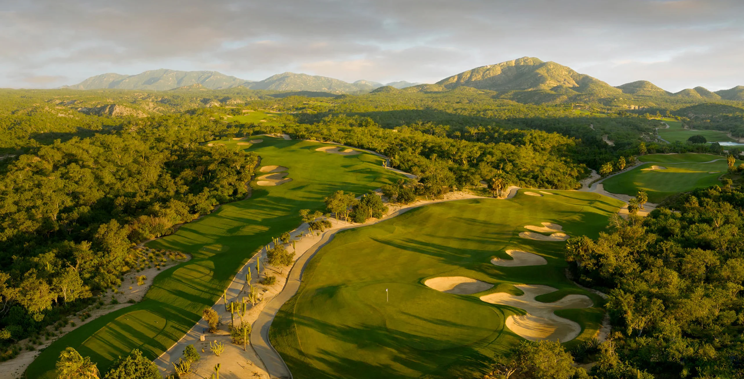 Cabo Real Golf Club — The Green