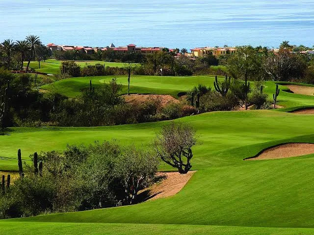 Cabo Real Golf Club — Clubhouse