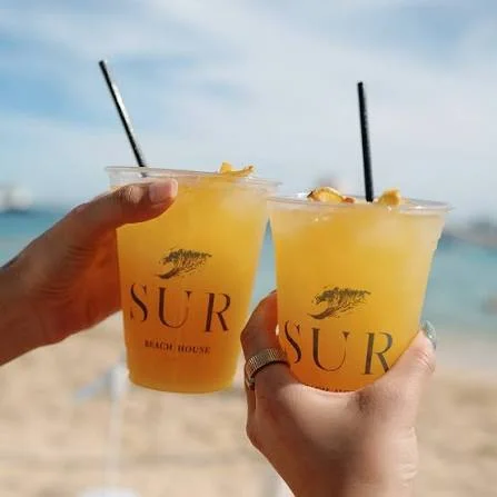 SUR Beach House